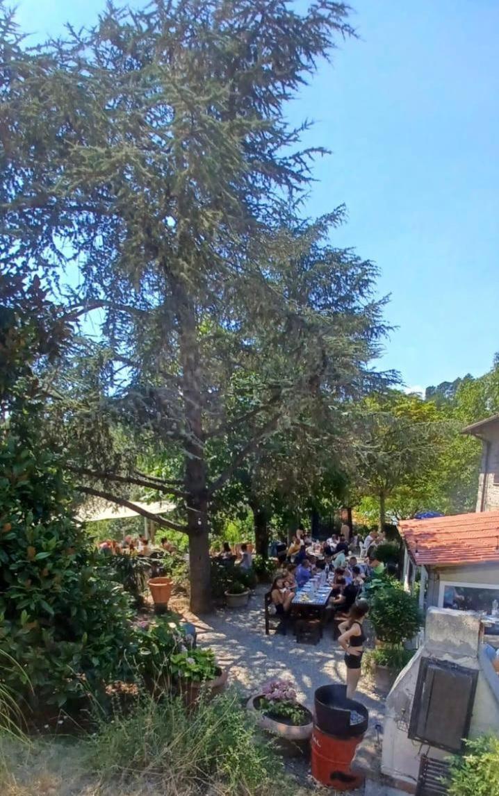 بورغو سان لورينزو Ala Di Maniero In Agriturismo Valdrago In Toscana, Nel Verde Mugello Sulle Colline Di Firenze المظهر الخارجي الصورة