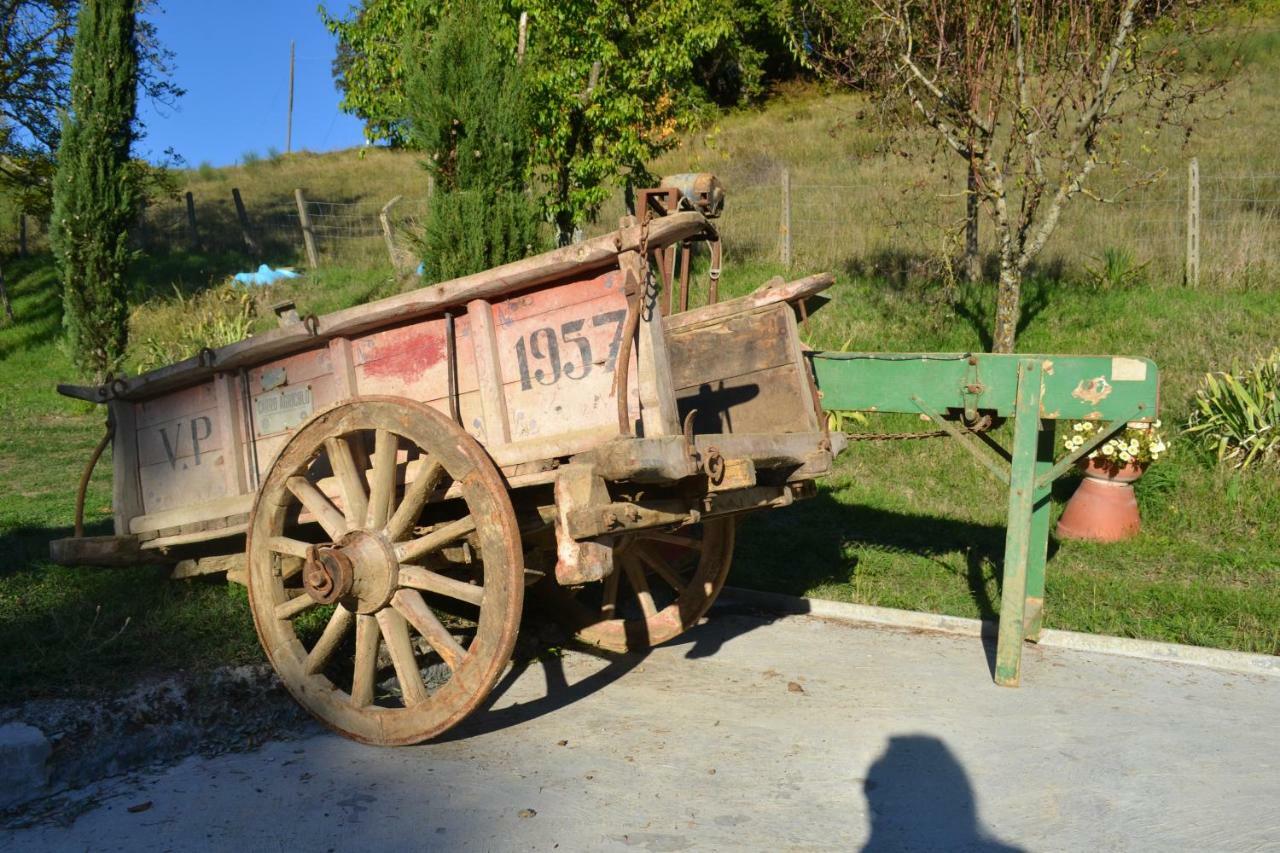 بورغو سان لورينزو Ala Di Maniero In Agriturismo Valdrago In Toscana, Nel Verde Mugello Sulle Colline Di Firenze المظهر الخارجي الصورة
