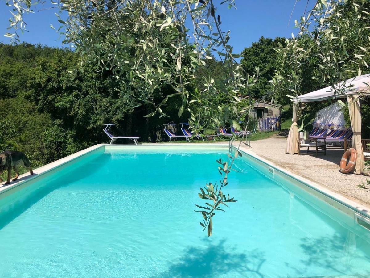 بورغو سان لورينزو Ala Di Maniero In Agriturismo Valdrago In Toscana, Nel Verde Mugello Sulle Colline Di Firenze المظهر الخارجي الصورة